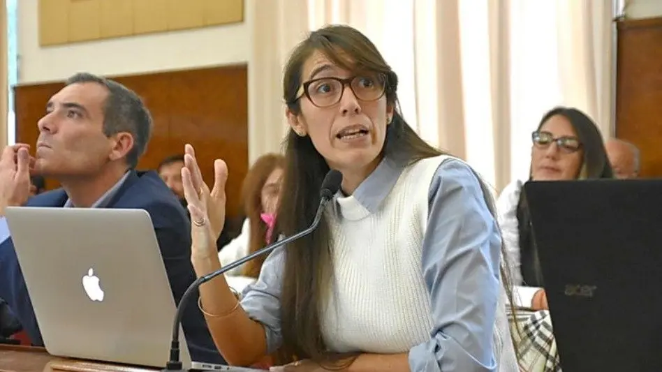 Corredores Seguros Educativos: "Si la ordenanza concluye con su aprobación este proyecto será progresivo"