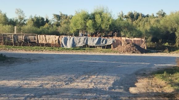 "Es una cosa de locos", lo primero que ves cuando bajás en la costanera