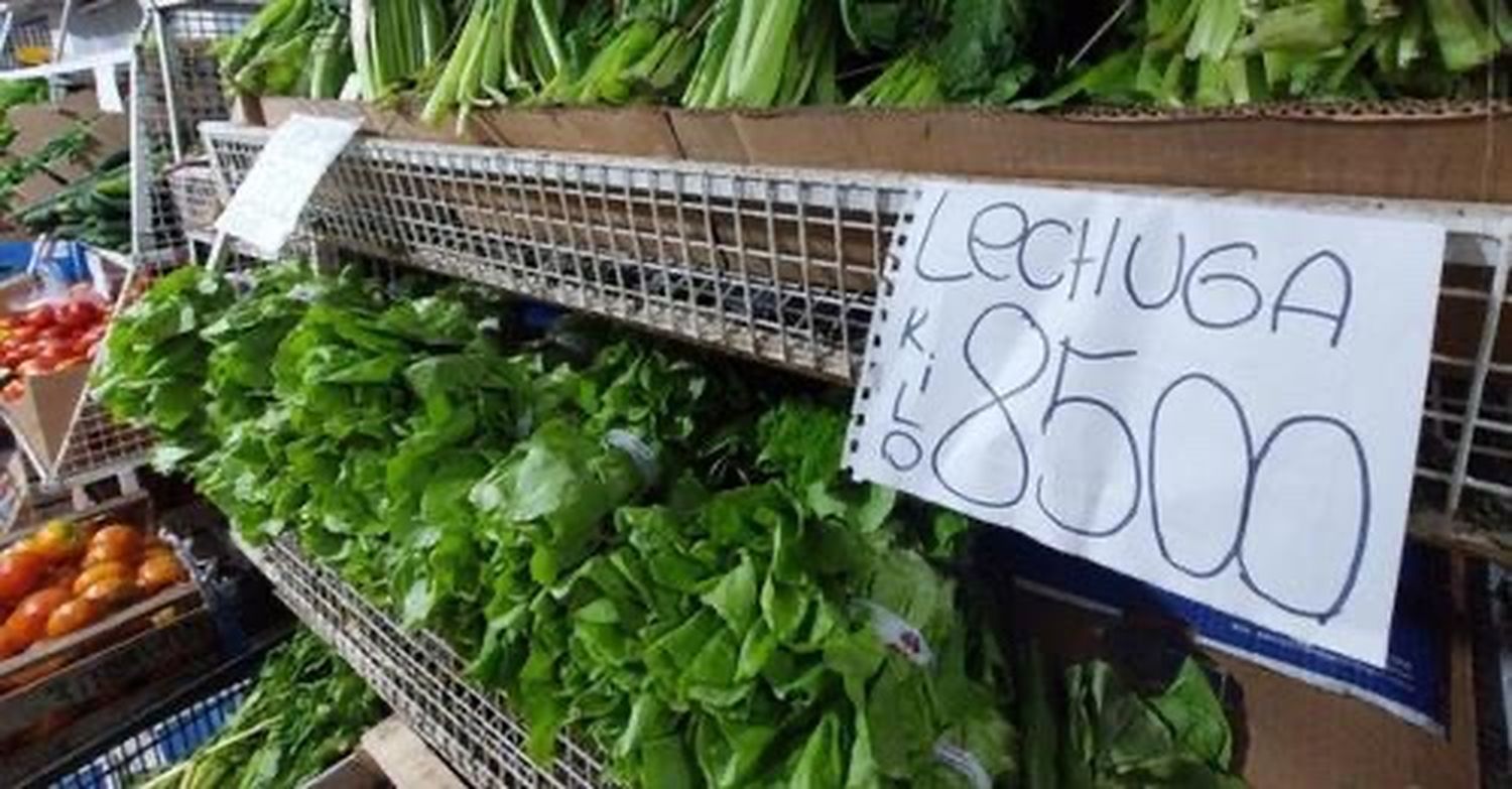 Sube el verde...la lechuga pegó el salto y cuesta cerca de 10 mil pesos