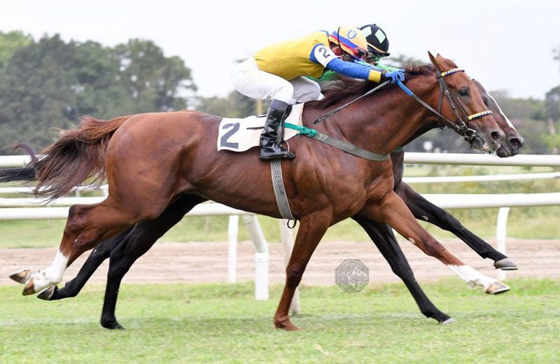 Martes 18: Actividad Hipódromo de San Isidro