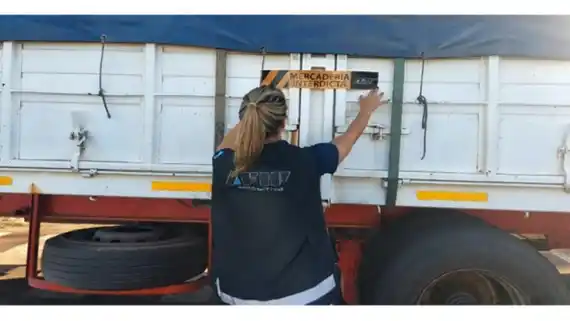 AFIP incautó más de 850 toneladas y evitó millonarias evasiones