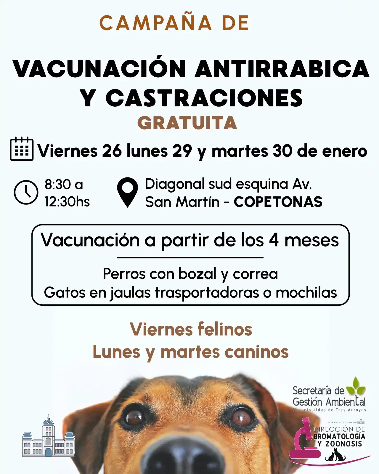 El móvil quirúrgico estará en Copetonas