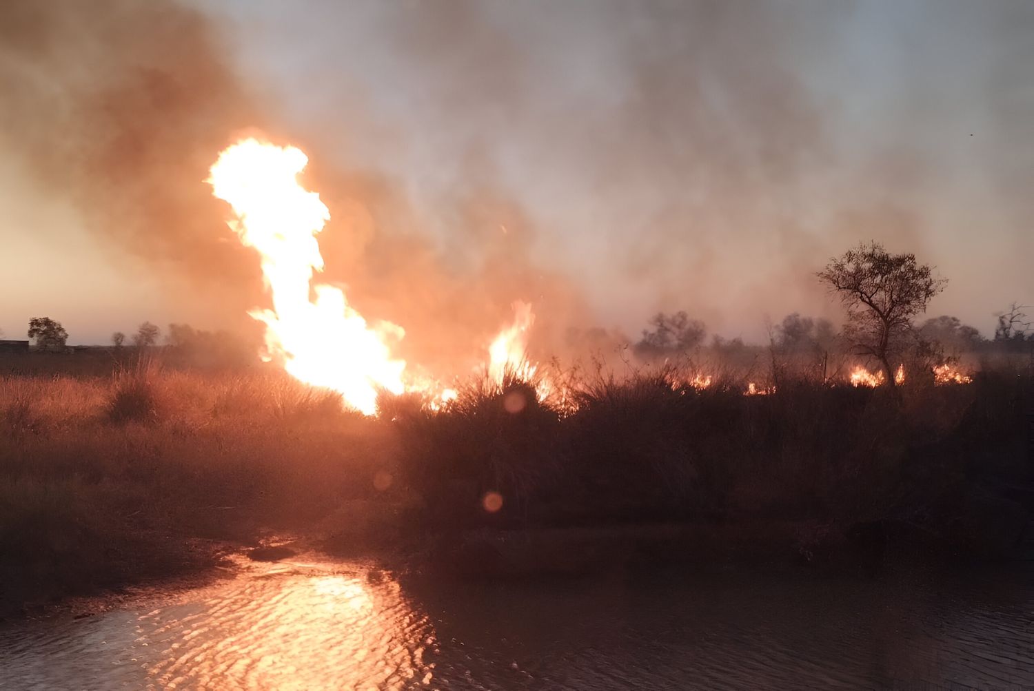 Quema en la zona de islas: aparecieron más focos frente a San Pedro