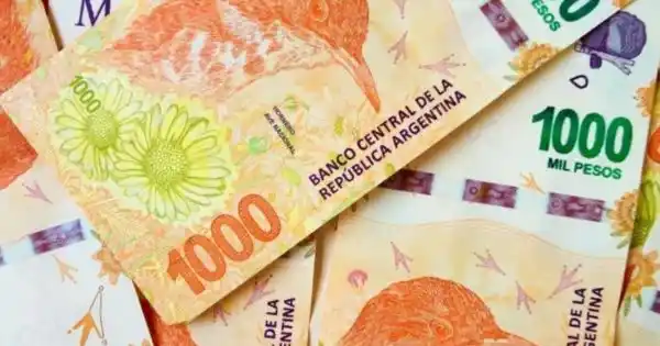 Programa Alimentario PAMI: Anuncian un bono de $10.000 para más de un millón de jubilados mayores de 80