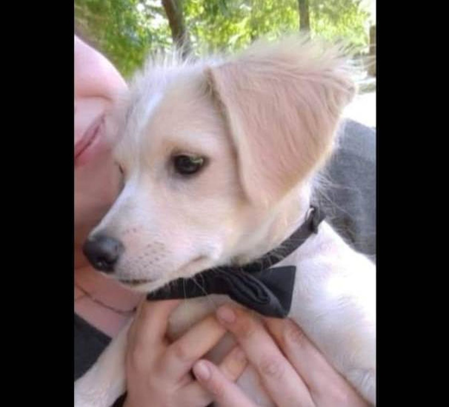 Buscan a Lola
