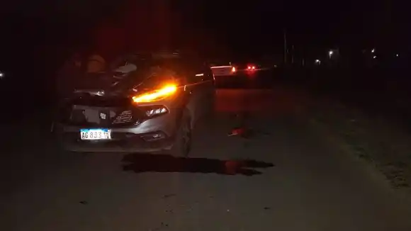 La Plata: un hombre murió atropellado por una camioneta mientras empujaba un carro