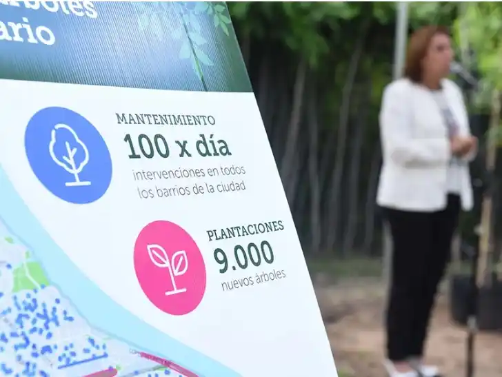 Colocarán 9.000 árboles nuevos en Rosario