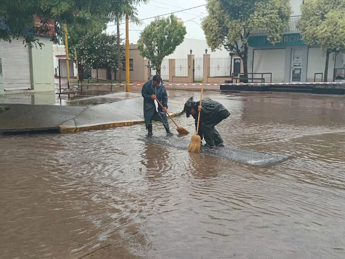 lluvia Firmat