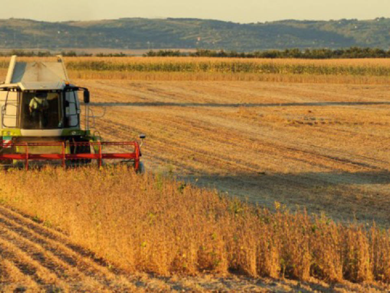 La economía creció 2,6% en mayo tras un año de caídas