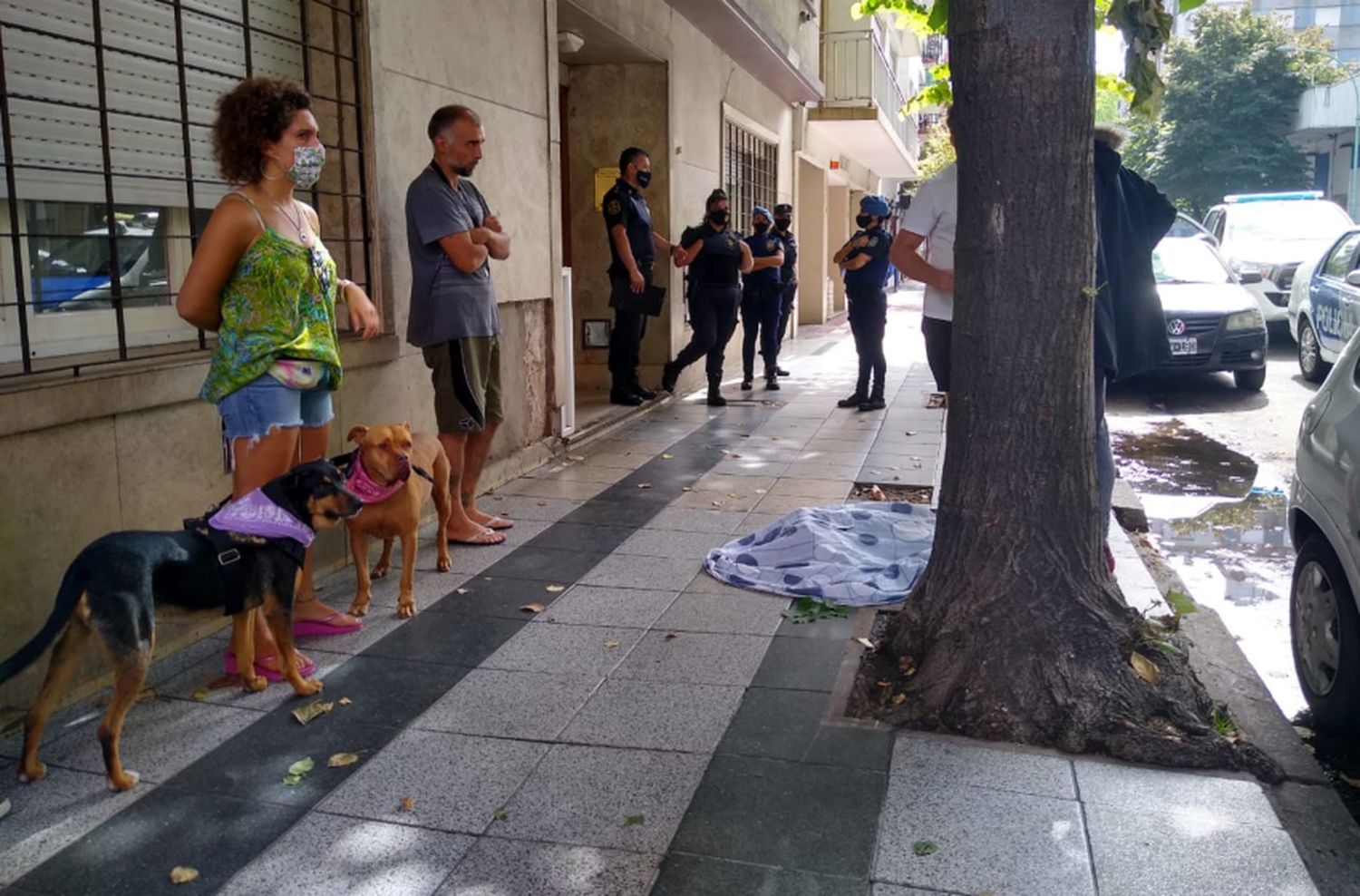 Hablaron desde el departamento de donde cayó el perro: “Se tiró, fue un triste final”