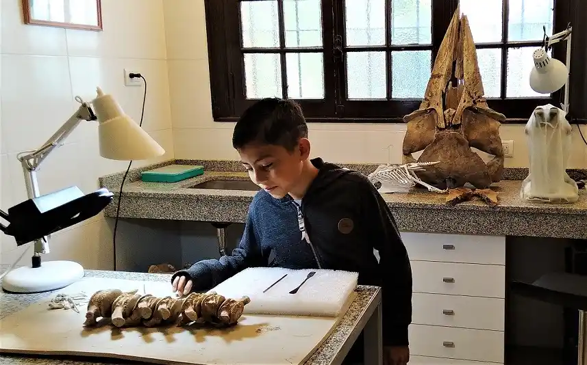 En Miramar un niño de 8 años encontró fósiles de un perezoso gigante de la edad de hielo