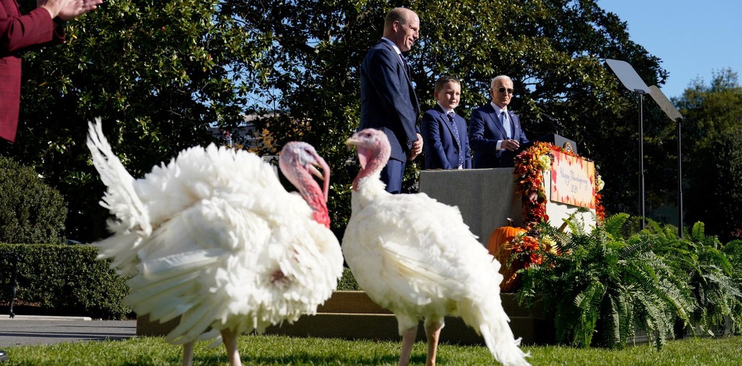 Peach y Blossom, los dos pavos perdonados y salvados por Joe Biden de la mesa de Acción de Gracias