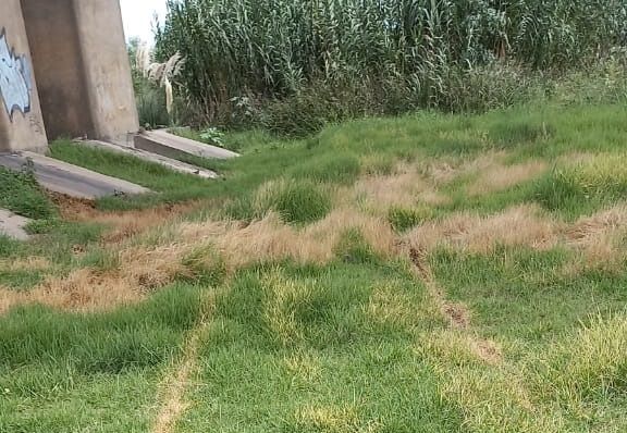 Ratificaron que el cuerpo hallado en Zárate es el de Paulino Ávila