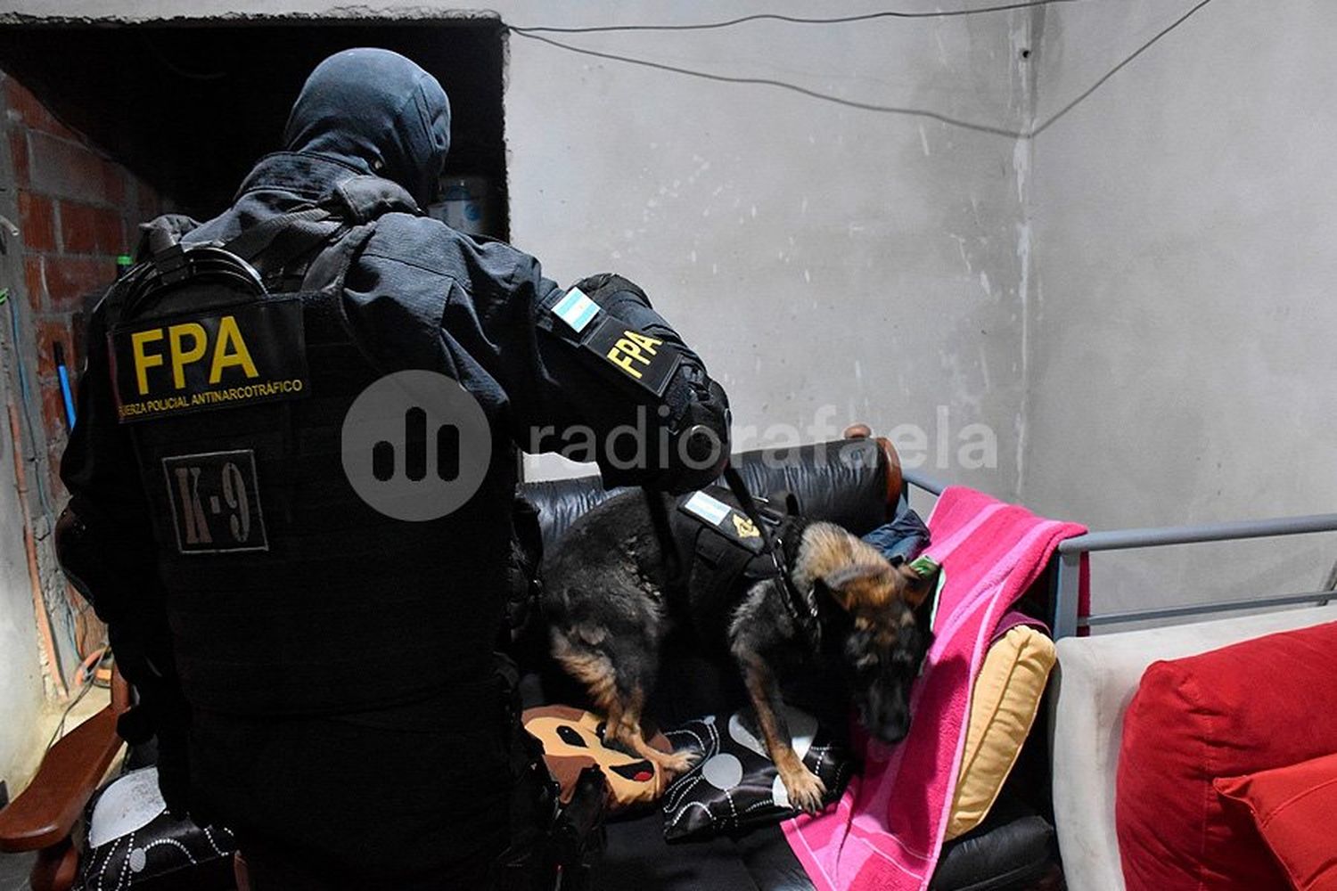 Cayó una megabanda narco extranjera en la provincia de Córdoba: secuestraron muchísima droga