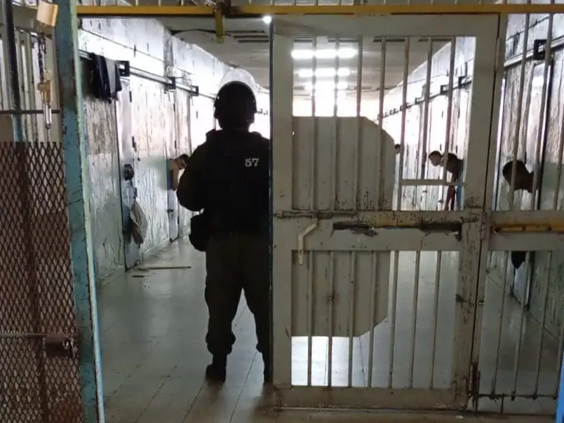 Condenaron a siete años de prisión para la líder de una banda narco que abastecía penales