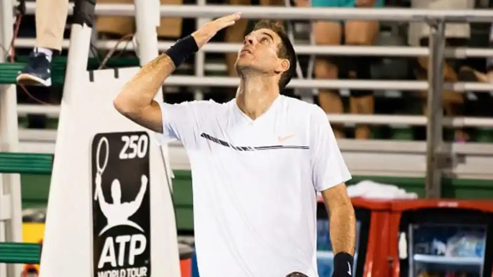 Del Potro y un muy buen triunfo para meterse en semifinales