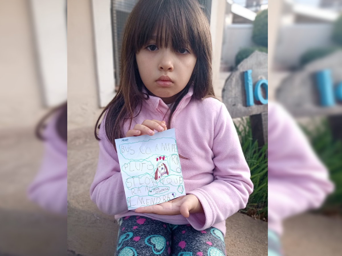 Perdió a su peluche "Pluto " y pide  en las redes ayuda para encontrarlo