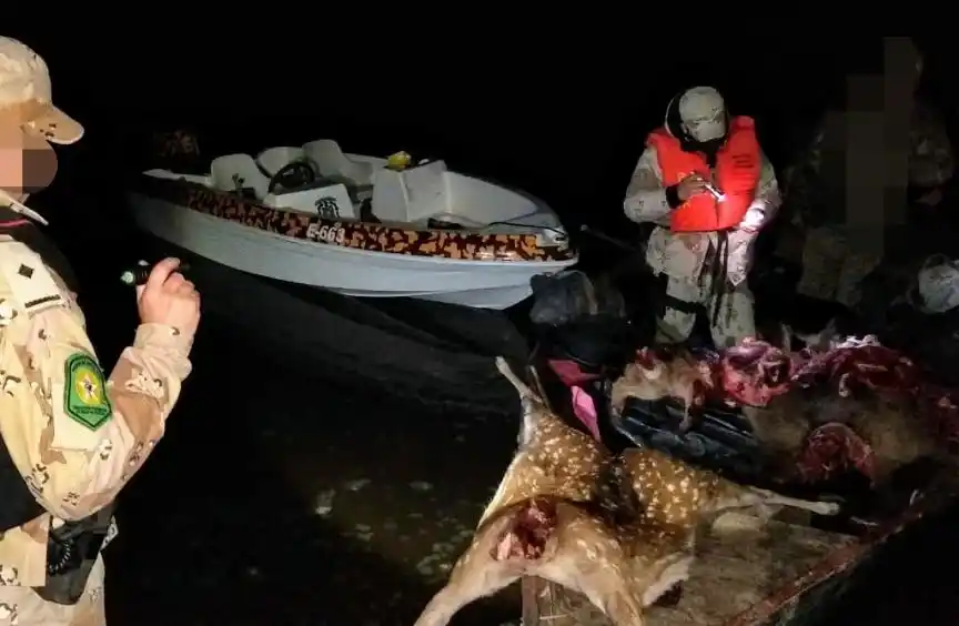 Secuestraron armas, liberaron aves autóctonas y detectaron caza ilegal en el Departamento