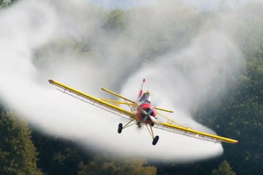 Inédita técnica para erradicar el dengue: "Brasil, Cuba y EE.UU. lo hicieron"