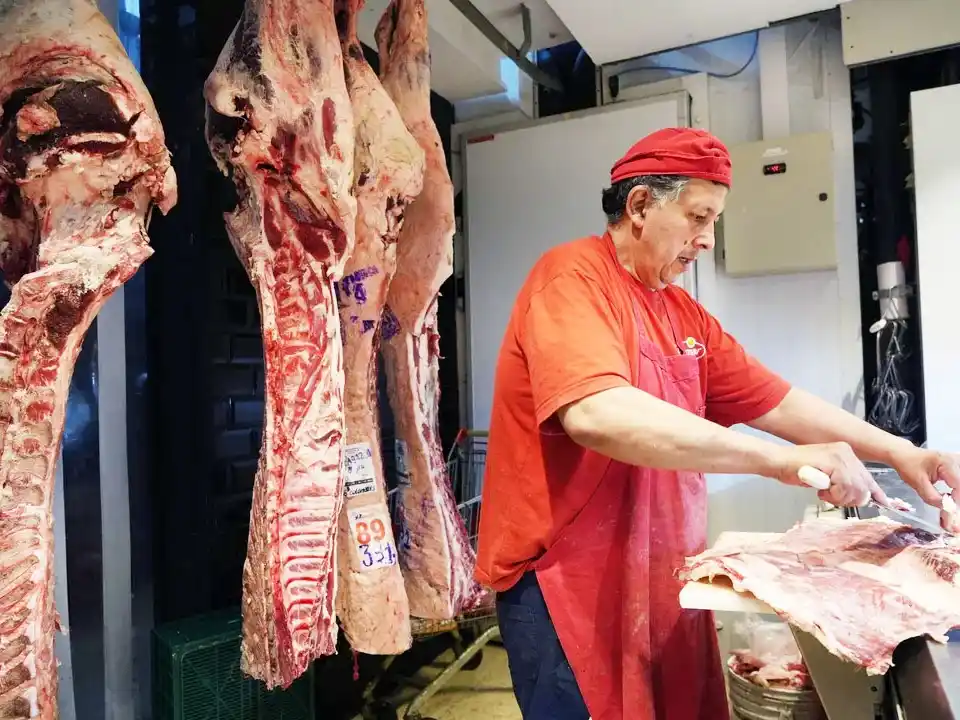 Fuerte retroceso en las exportaciones de carne en el primer trimestre de 2025