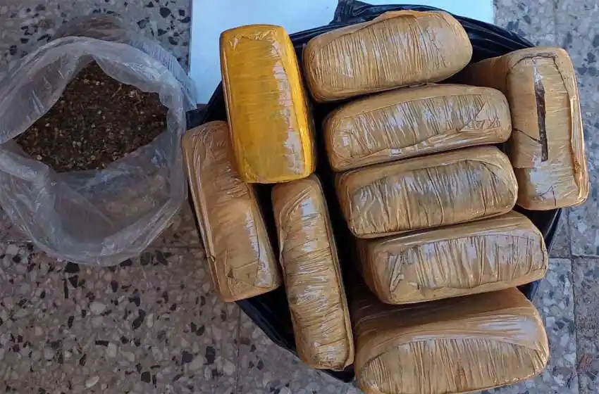 Zona oeste: fue a buscar una palta al patio de su casa y encontró panes de marihuana