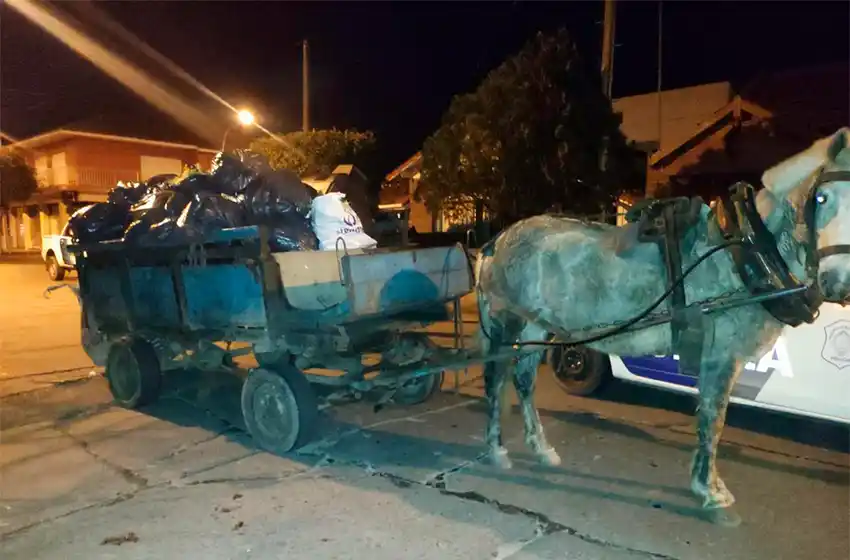 Un robo a caballo: sustraían medidores de agua y se lo llevaban en el carro