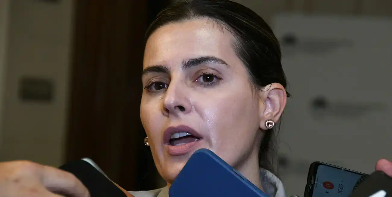 La diputada provincial socialista (Unidos para Cambiar Santa Fe) Lionella Cattalini, autora del proyecto de ley que estudia ahora el Senado. Crédito: Manuel Fabatia.