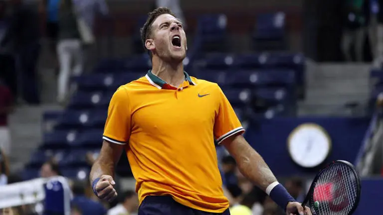 Del Potro prometió que volvería a jugar si Argentina ganaba la copa