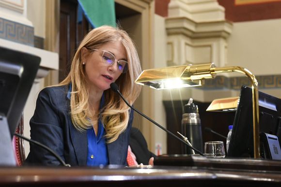 Media sanción a las reelecciones indefinidas en el Senado: Hubo desempate de Magario