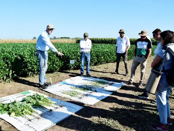 En Villaguay invitan a una jornada sobre producción sostenible