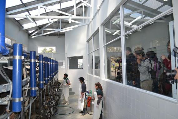 Instituto Agrotecnológico Tandil, formando profesionales con proyección 