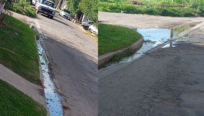 Reportaron una pérdida de agua