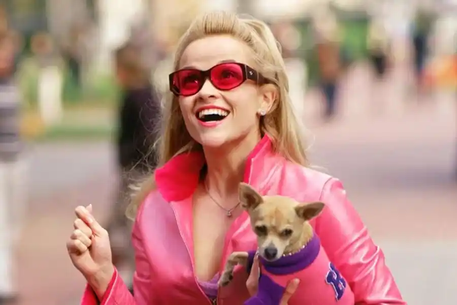 La serie desarrollará nuevas narrativas en el universo de Elle Woods.