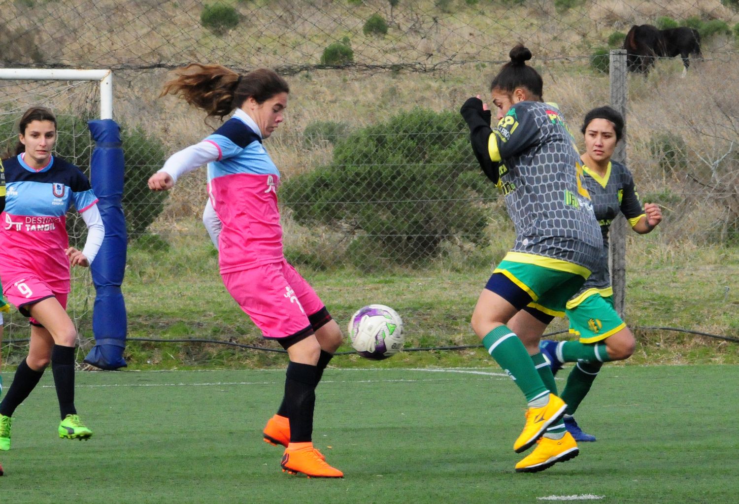 Victorias del seleccionado femenino tandilense