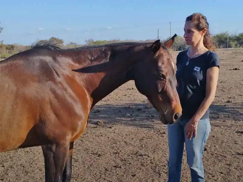 Quienes realicen el taller podrán adquirir distintas herramientas de autosanación.