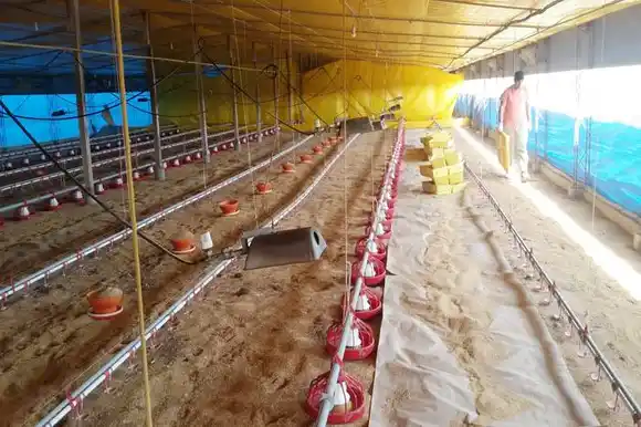 Se intensifica el trabajo  articulado entre Ambiente  y el sector avícola