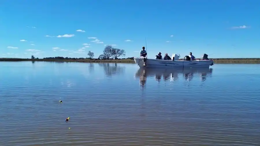 Daireaux y Arboledas