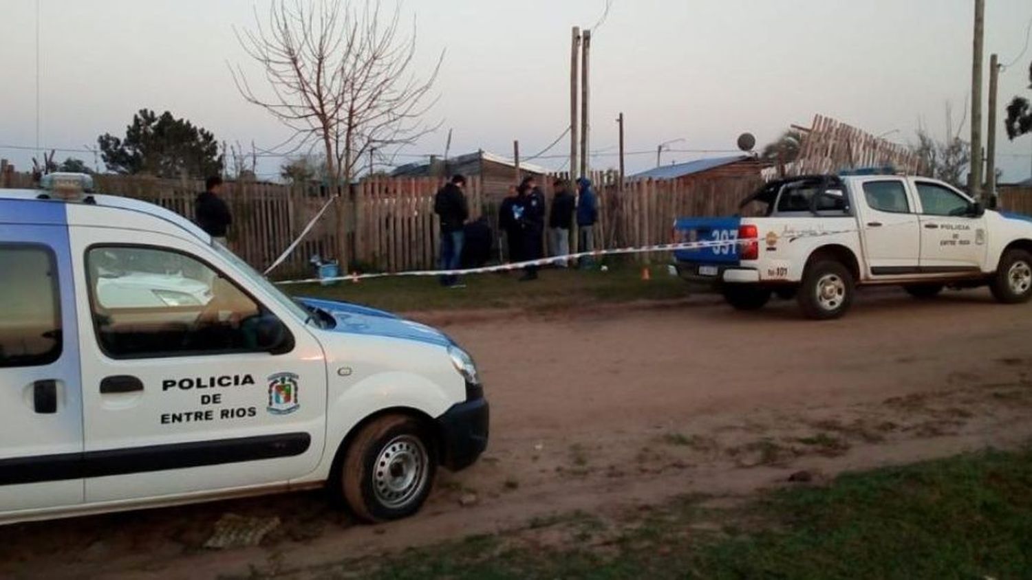 Mató a su mamá, dejó grave a su abuela e hirió a un policía