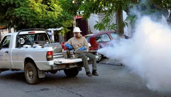 Dengue: epidemia en Brasil y Paraguay complica a Argentina