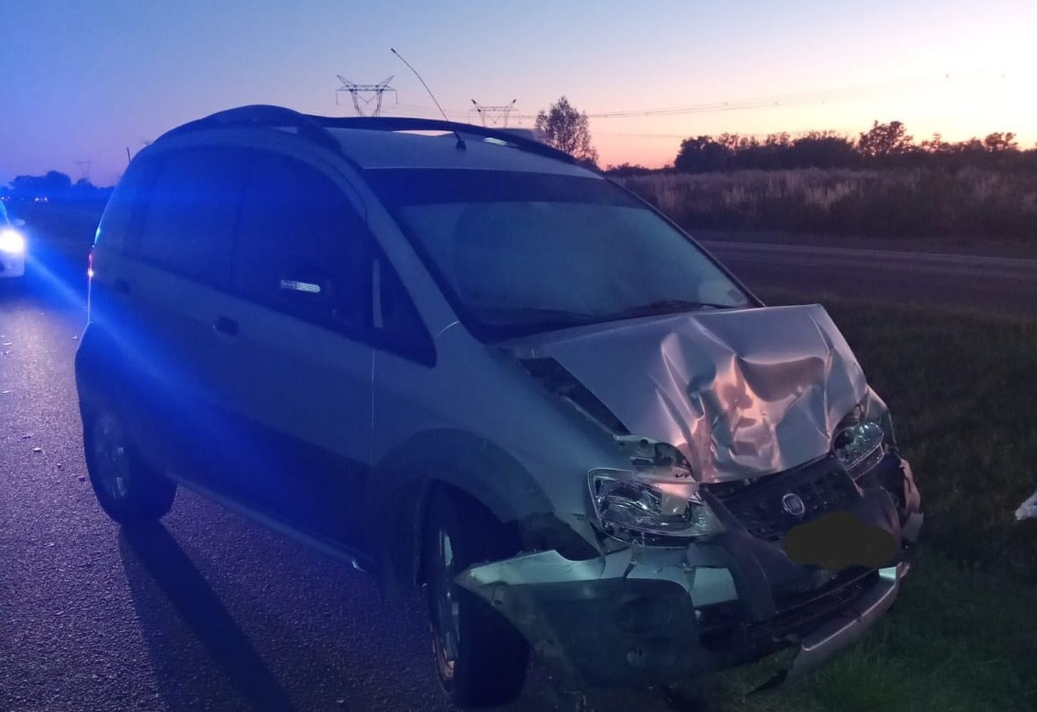 Una camioneta chocó contra un porcino en plena Ruta 12