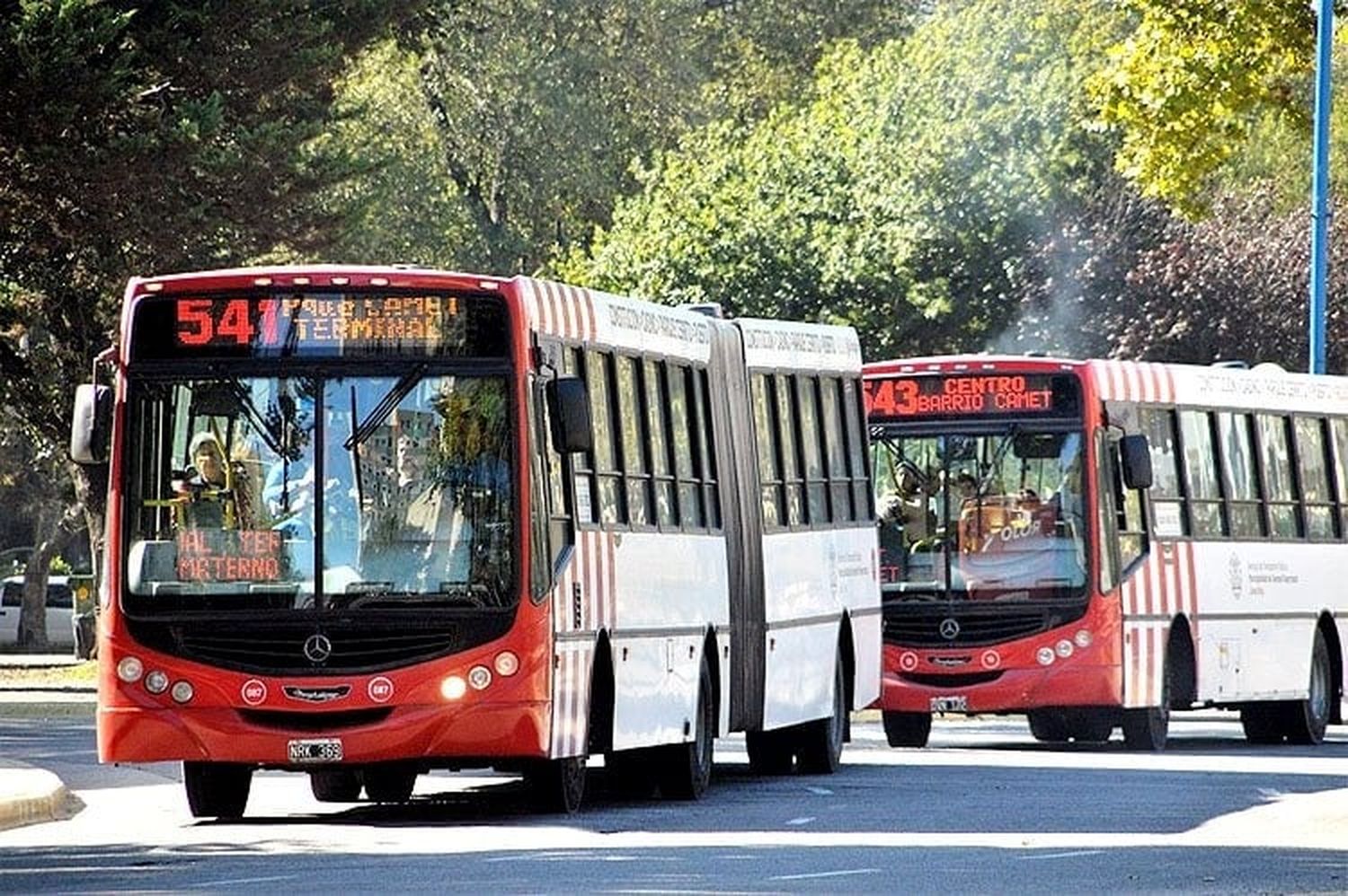 Paro de colectivos en Mar del Plata: la UTA levantó la medida de fuerza y se restableció el servicio