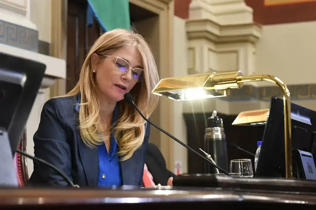 El Senado bonaerense aprobó las reelecciones indefinidas para legisladores