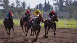 Se suspendió la última reunión del año en el Hipódromo "Oscar C. Boero"
