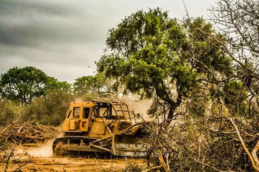 Hugo Bay: “Ninguna ley nacional ni
provincial propicia hacer desmontes”