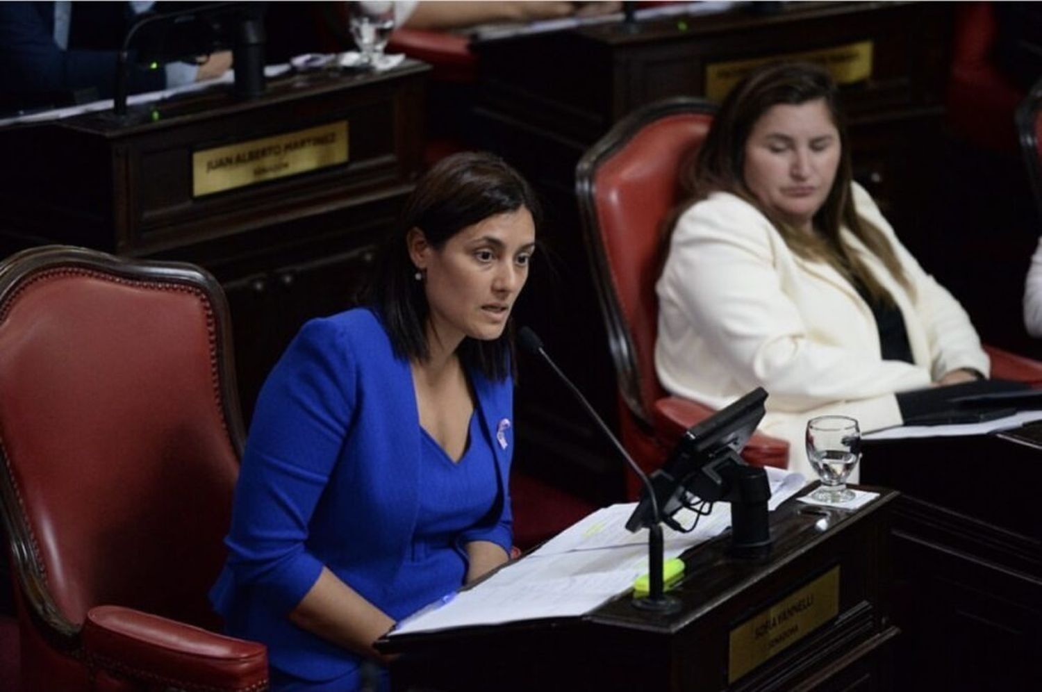 Senadoras impulsan la ley Belén para penalizar la violencia de género digital: El recuerdo del tremendo caso de Bragado