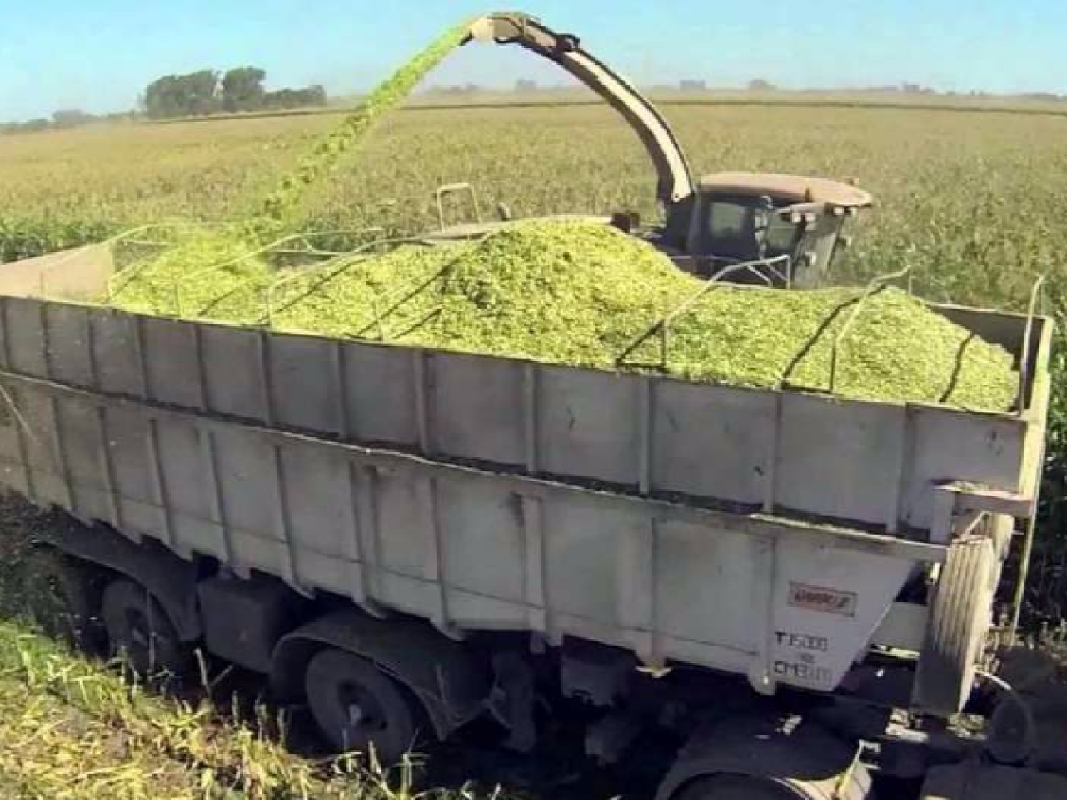 Planificar las reservas, la herramienta más económica en tiempos de escasez     