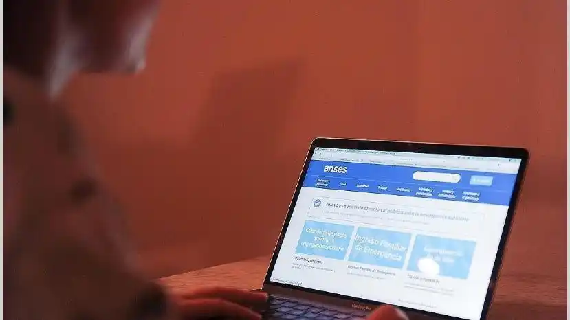 Anses presentó a la Justicia 156 denuncias por fraude en el IFE