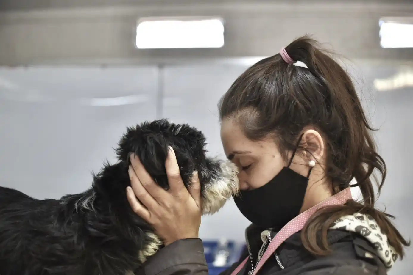 Continúa la campaña municipal de castraciones