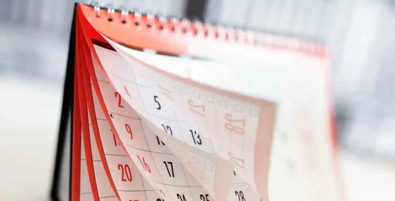 Día de la Tradición: ¿será o no feriado el jueves 10 de noviembre?