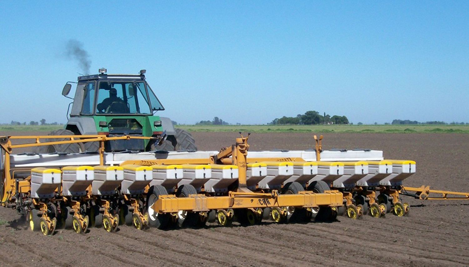 Girasol estiman merma de 200 mil hectáreas en área a sembrar